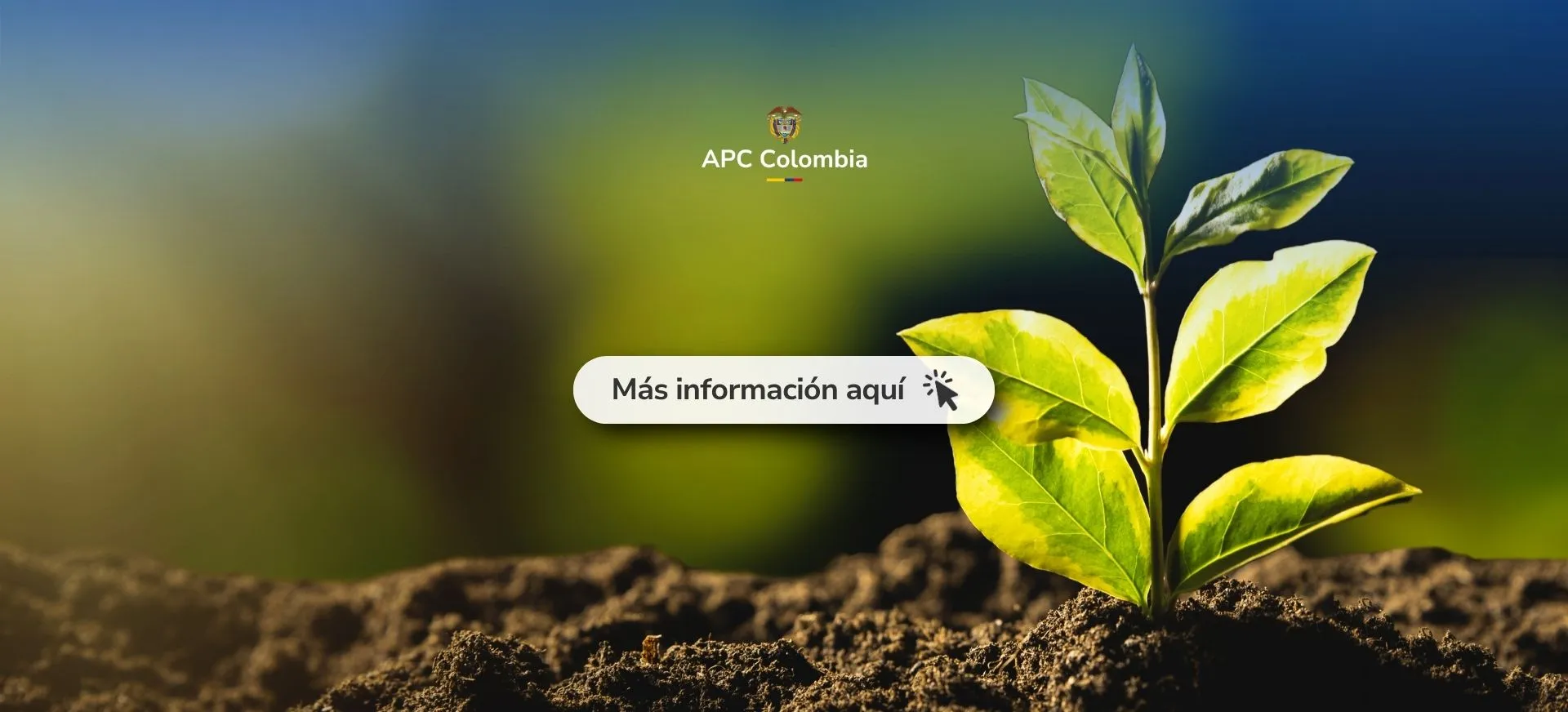 Una planta floreciendo de la tierra