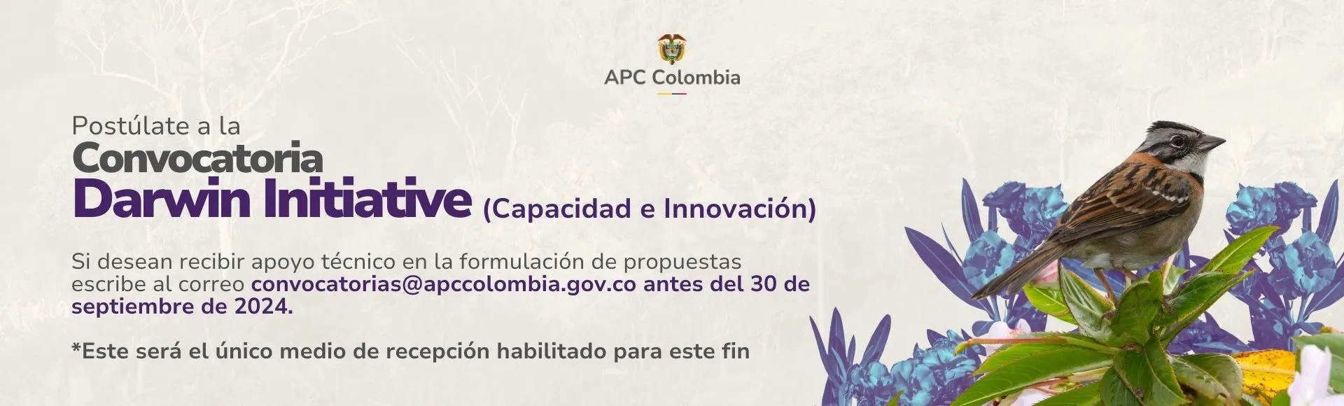 Convocatoria Initiative (Capacidad e innovación) Si desean recibir apoyo técnico en la formulación de propuestas escribe al correo convocatoria@apccolombia.gov.co antes del 30 de septiembre de 2024