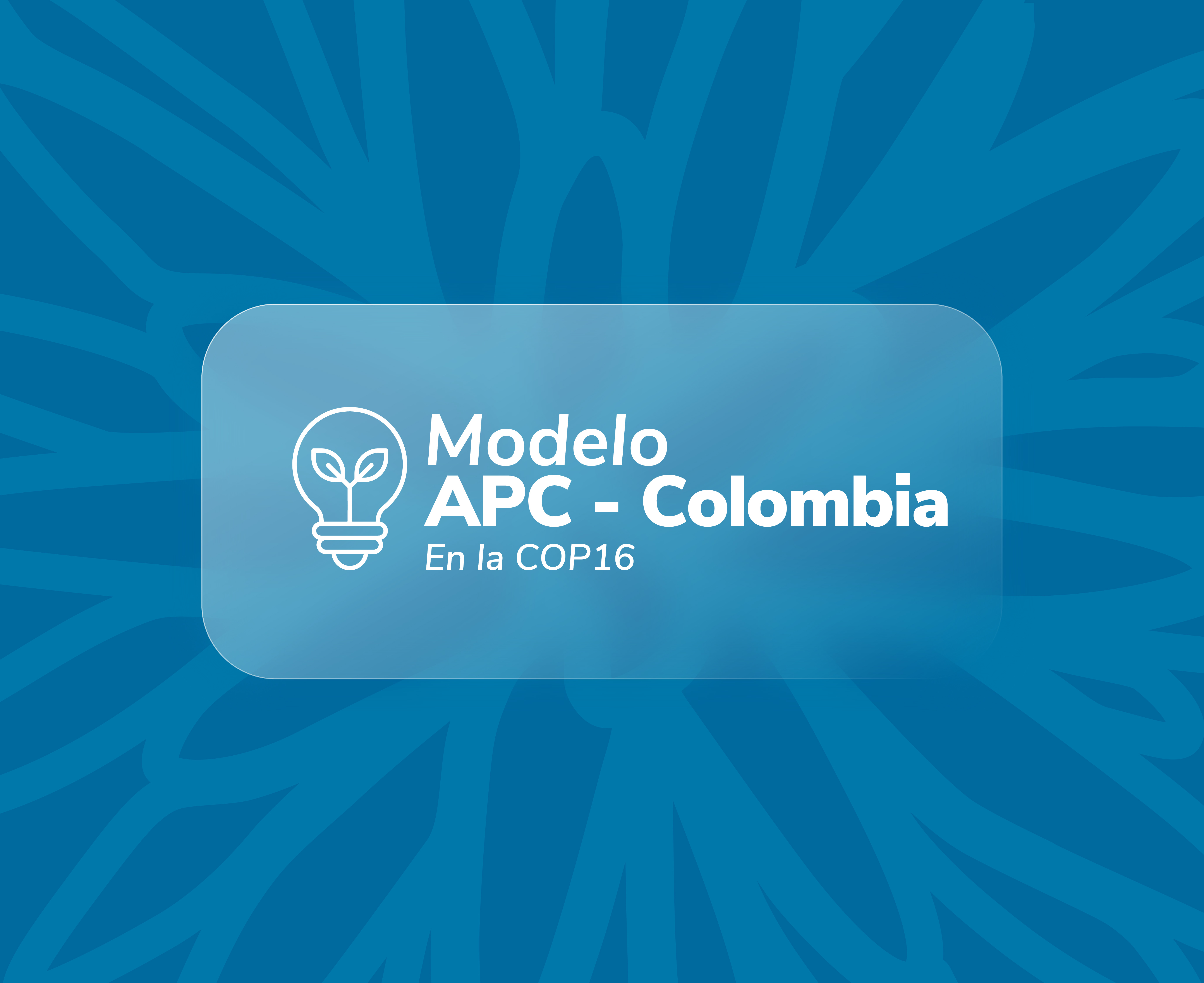 Modelo APC Colombia en la COP 16