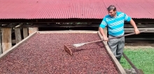 Estrategia Nacional para la Cadena de Cacao presenta sus avances y resultados en la transformación de la industria 