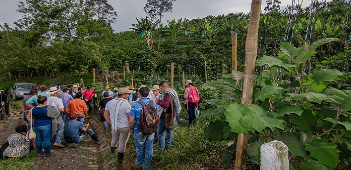 La siembra de un Saber Hacer Colombia que da fruto en el exterior