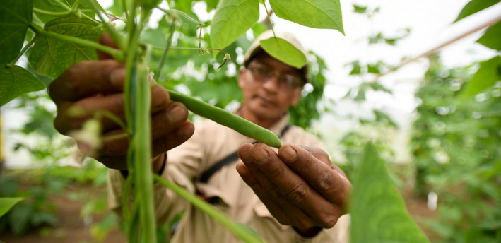 El Reino Unido continuará invirtiendo en el agro colombiano