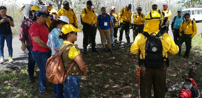 Con entrenamiento en manejo de fuego países de Mesoamérica buscan mitigar el impacto de los incendios forestales en sus regiones