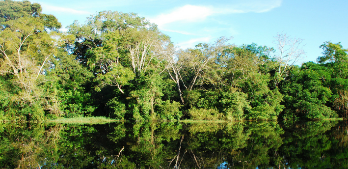 Colombia y Noruega fortalecen la cooperación para proteger la Amazonía