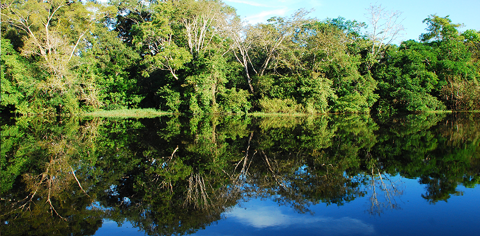 Fotografía de paisaje en el río amazona