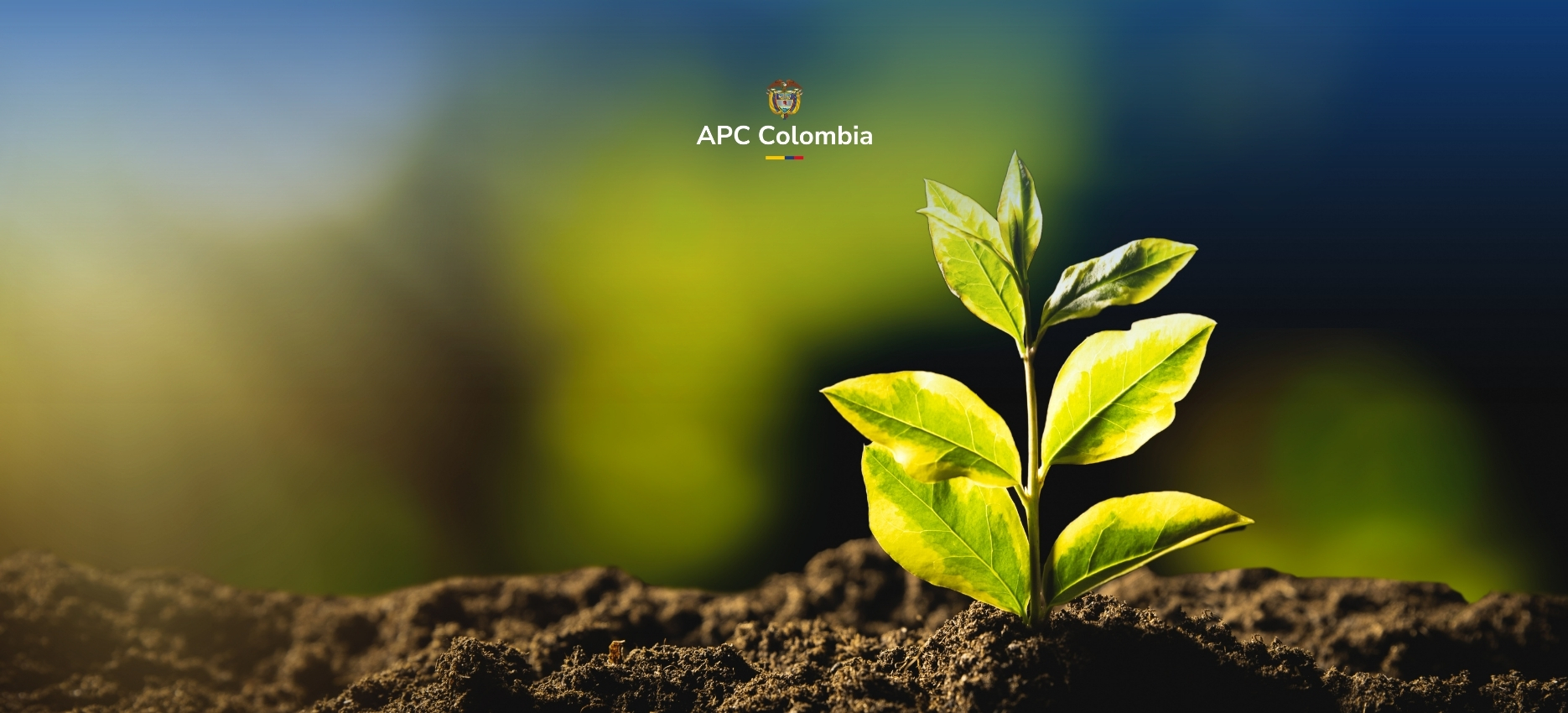 Una planta naciendo del suelo