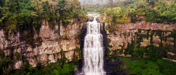 Imagen de cascada con bosque tropical