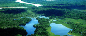 Fotografía de bosque tropical del Chocó, con un río en el fondo