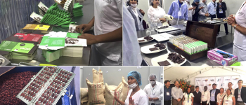 EE.UU. promueve inversión para la paz con Cacao de Colombia y Acumen