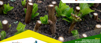 Experiencias de ocho países latinoamericanos contribuyen a la promoción de la agricultura familiar en Colombia