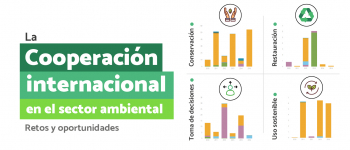 La Cooperación Internacional y el sector ambiental