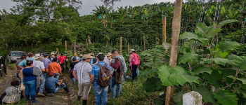 La siembra de un Saber Hacer Colombia que da fruto en el exterior