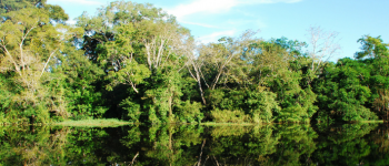 Colombia y Noruega fortalecen la cooperación para proteger la Amazonía