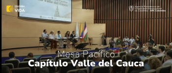 El Sistema Nacional de Cooperación Internacional instauró la Mesa Pacífico - Capítulo Valle del Cauca en Cali