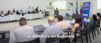 Participantes de la Primera Sesión Ampliada del Consejo Departamental de Cooperación Internacional. En la parte superior logo del gobierno de Colombia y en la parte inferior el título de la nota