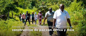 Foto de los participantes del programa de paz "De Colombia al Mundo" caminando en medio de un sendero con varias plantas