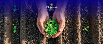 Manos sosteniendo una planta