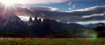 El valor económico de la biodiversidad