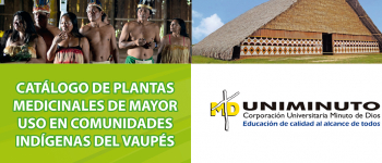 El poder curativo de la naturaleza