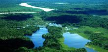 Fotografía de bosque tropical del Chocó, con un río en el fondo