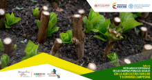 Experiencias de ocho países latinoamericanos contribuyen a la promoción de la agricultura familiar en Colombia