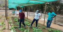 Guajira le enseña a Curazao cómo realizar cultivos hidropónicos