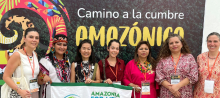 La directora general de APC-Colombia con asistentes a la Cumbre Amazónica